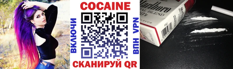 shop клад  Шагонар  COCAIN VHQ 
