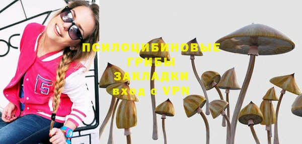 прущая мука Баксан
