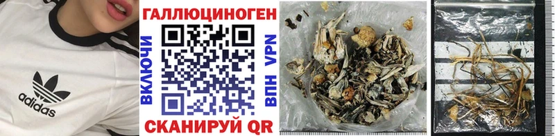 Псилоцибиновые грибы мицелий  Шагонар 